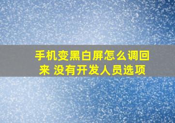 手机变黑白屏怎么调回来 没有开发人员选项